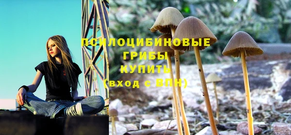 а пвп мука Арсеньев